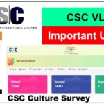 CSC Cultural Survey